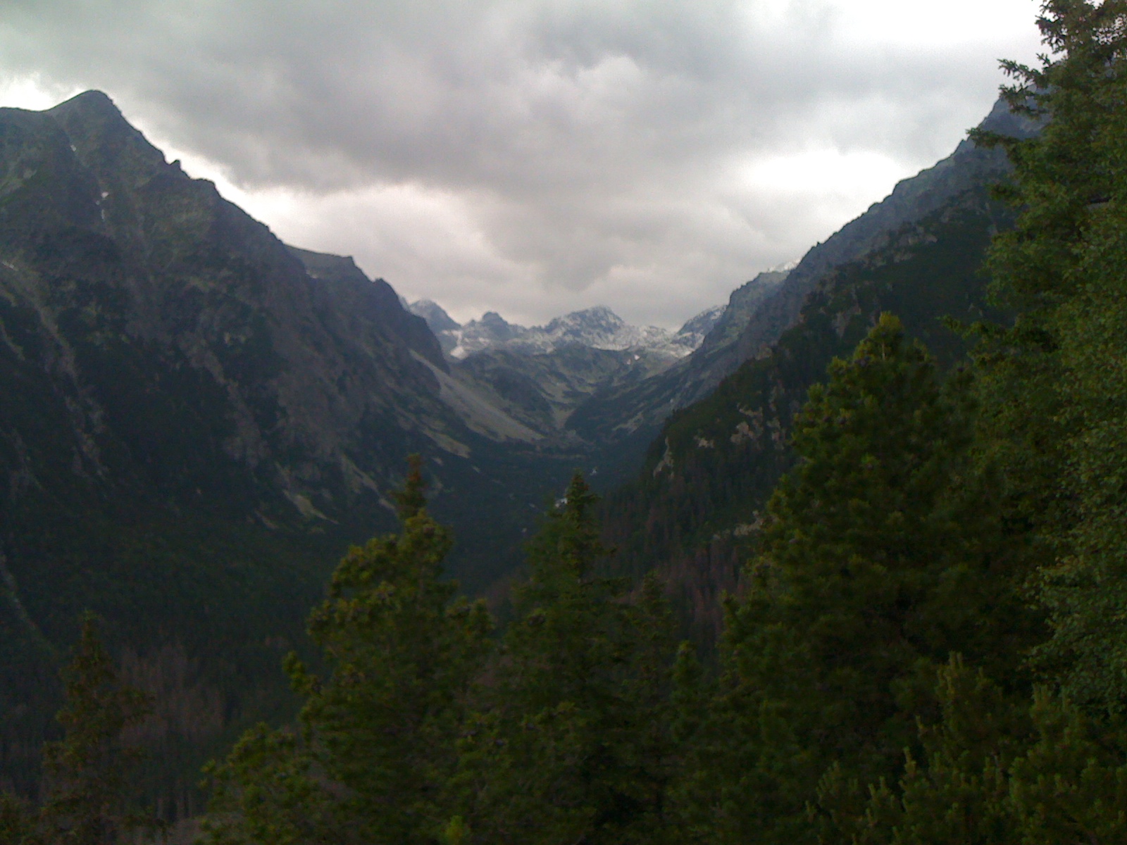 IMG_0640.jpg