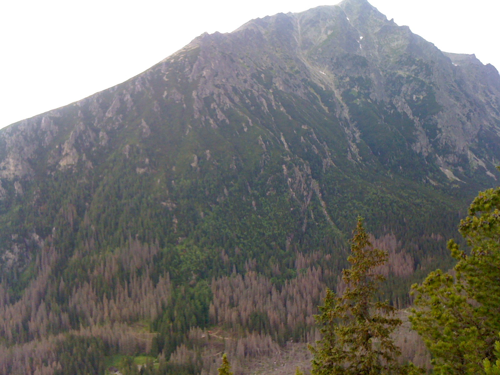 IMG_0641.jpg