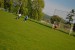 DSC_0507.JPG